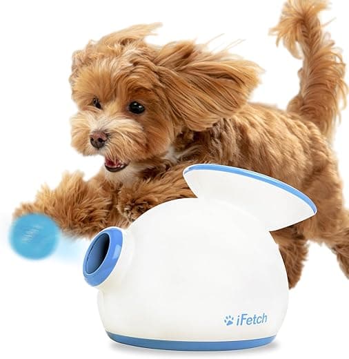 iFetch Automatic Dog Ball Launcher - thumbnail